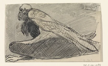 Sitting Vulture