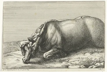Fallen Horse on Its Left Side