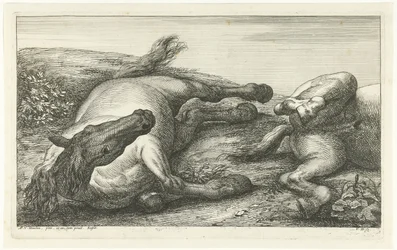 Two Fallen Horses, the Left One Seen from the Front (series title: Fallen Horses)