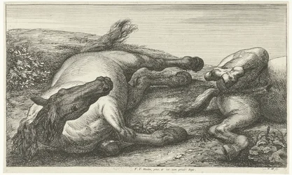 Two Fallen Horses, the Left One Seen from the Front (Fallen Horses series)