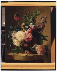 Flower Still-life