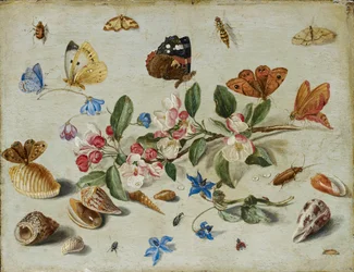 Flowers and Insects, late 1650s or early 1660s