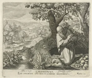 St. Francis (Saints)