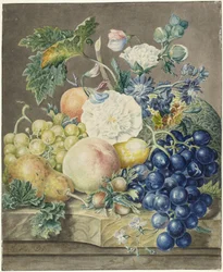 Still Life