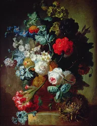 Unknown Image