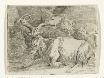 Two Goats and Two Sheep