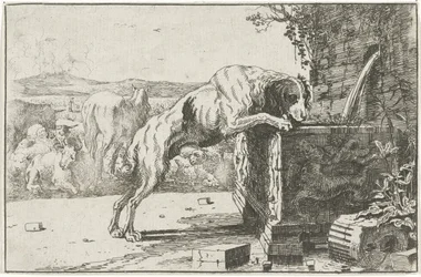 Dog by a Fountain (Animals series)