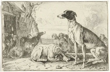 Dog Kennel