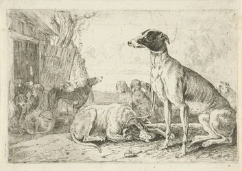 Dog Kennel