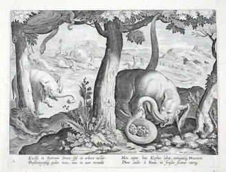 Snake Used in Elephant Hunting, Illustration from 