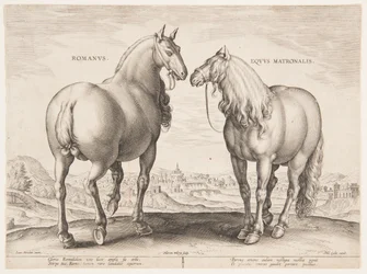 A Roman Horse, from the first set of ”Equile Joannis Austriaci”