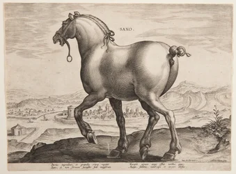 A Saxon Horse, from the First Set of 