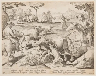 Buffalo Hunt, plate 27 in the Venationes Ferarum, Avium, Piscium series