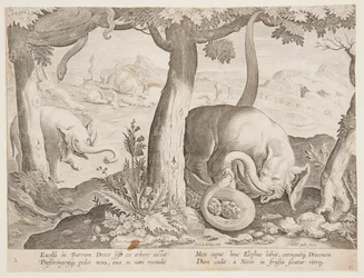 Fight between Elephants and Snakes, Plate 2 from the Venationes Ferarum, Avium, Piscium Series