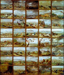 Animals Table showing compartments corresponding to different animal species