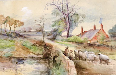 A Country Road