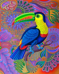 Toucan