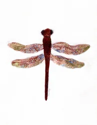 Dragonfly on Creekside Lane, c.2019