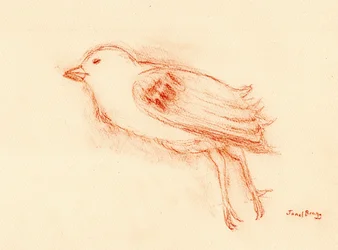 Vulnerability and Death in Summer (Dead Bird by my Stairwell III) c.2021