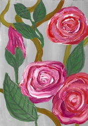Blooming Pink Roses