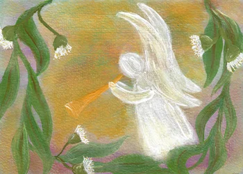 Eucalyptus Angel Trumpet