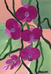 Magenta Orchid Blooms