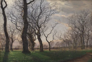 At the Edge of an Oak Forest on an Early Spring Morning
