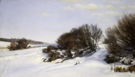 Winter Near the Sea