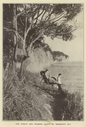 The White and Wooded Cliffs of Mississippi Bay