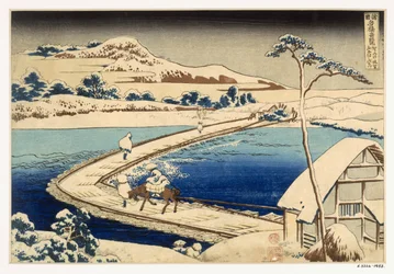 Bridge of Boats at Sawa, 1830 (Hand Coloured Wood Block Print)