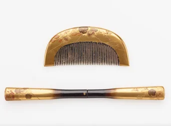 Comb and hairpin