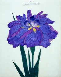 Kamiyo-no-Mukashi, no.16, 1898