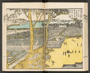 Views of Yokohama
