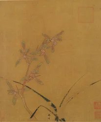 Orchids