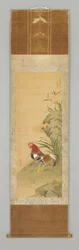 Rooster by a Rock