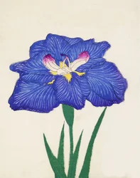 Shiga-no-Uranami, no.3, 1898