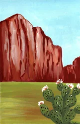 Southwest Cactus Bloom