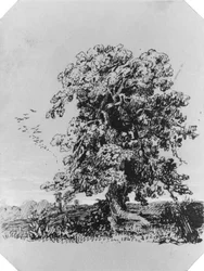 Landscape with Tree and a Village in the Distance (from Cropsey Album)