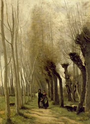 The Willows of Marissel