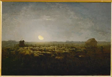 The Sheep Park, Moonlight