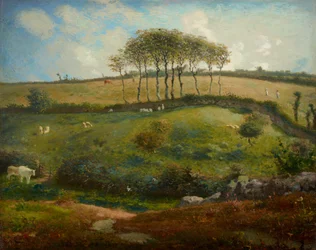 Pasture Near Cherbourg (Normandy)