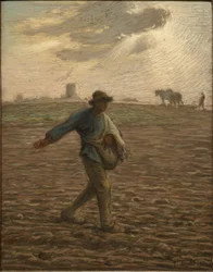 The Sower