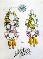 Designs for a Brooch, an Aigrette and for the Chivalric Order of the Golden Fleece (Toison d