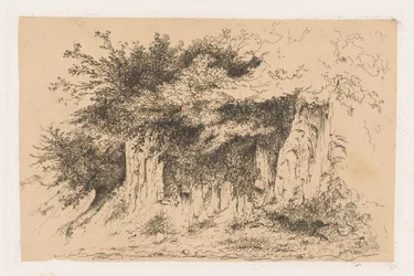 Bushes on an Earthen Wall