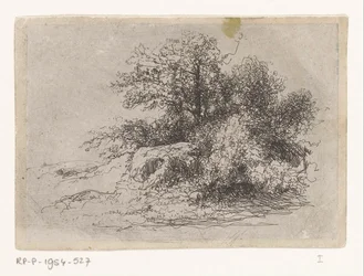 Shrubbery