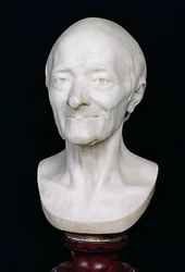 Bust of Voltaire without his wig