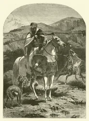 Hare hunting in Algeria with greyhounds