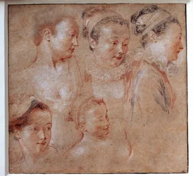 Five Hairstyles of Women