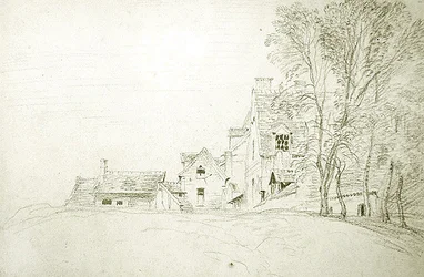 Landscape along a Road Bordered by Trees