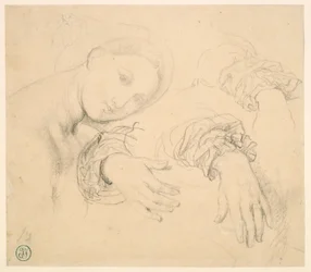 Sheet of Studies with the Head of the Fornarina and Hands of Madame de Senonnes